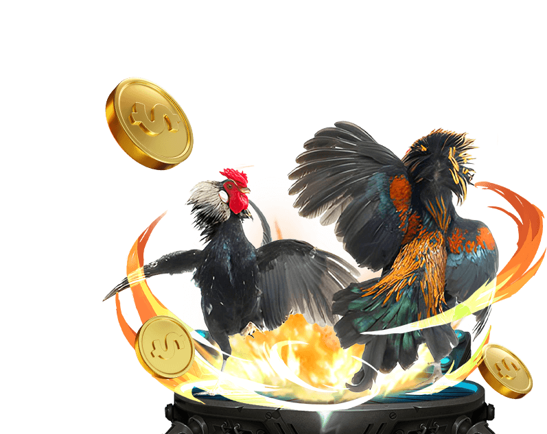 Đá Gà Trực Tiếp - Sunwin